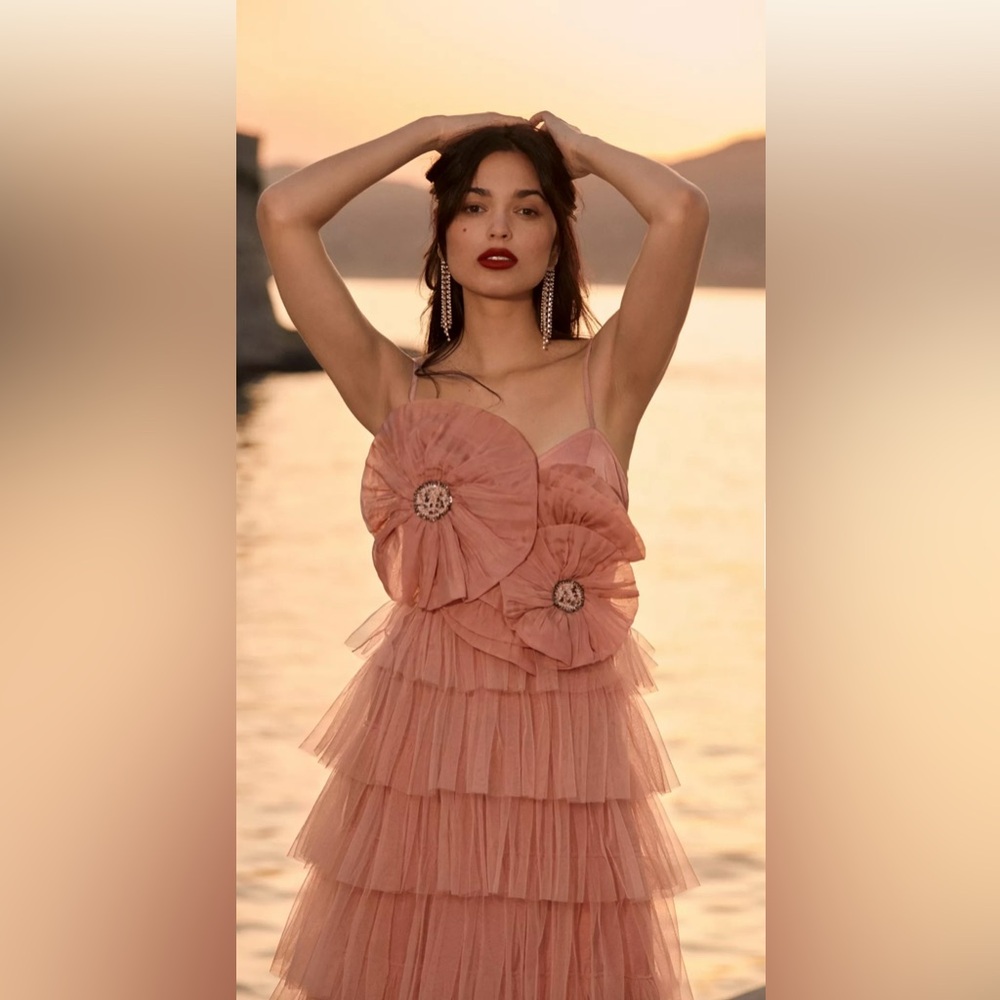 Kavita Bhartia Pink Tiered Tulle Dress